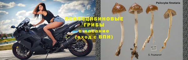 2c-b Балабаново