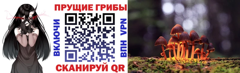 закладка Красный Холм Галлюциногенные грибы прущие грибы